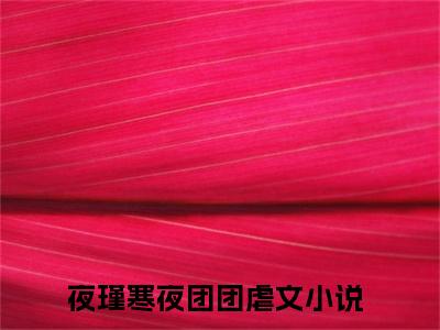 夜瑾寒夜团团(夜瑾寒夜团团)全文免费阅读无弹窗大结局_夜瑾寒夜团团(夜瑾寒夜团团小说全文无弹窗)完整版最新阅读（夜瑾寒夜团团）