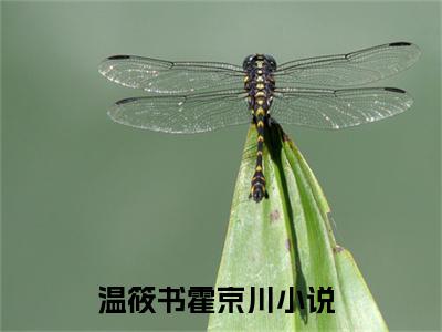 （温筱书霍京川）全文免费阅读无弹窗大结局_（温筱书霍京川）章节列表_笔趣阁
