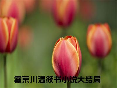 霍京川温筱书小说（霍京川温筱书）免费观看-霍京川温筱书高质量小说推荐阅读