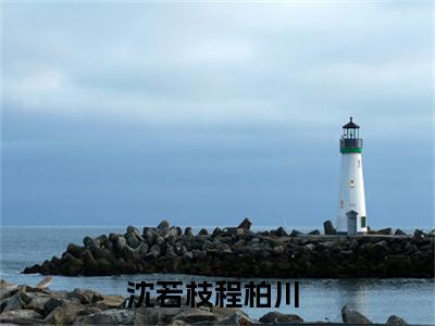 沈若枝程柏川的小说全文免费阅读无弹窗,沈若枝程柏川的小说在线免费阅读大结局