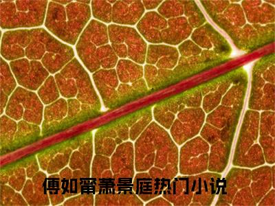 傅如甯萧景庭全文热榜小说已完结-热门小说已更新傅如甯萧景庭