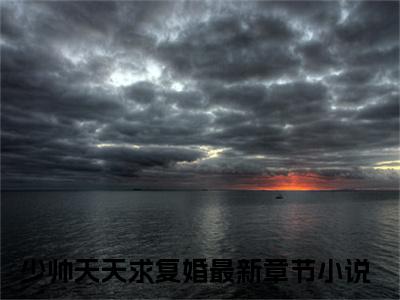 少帅天天求复婚小说林之意司晏全文免费阅读无弹窗-正版小说（林之意司晏）少帅天天求复婚全文阅读