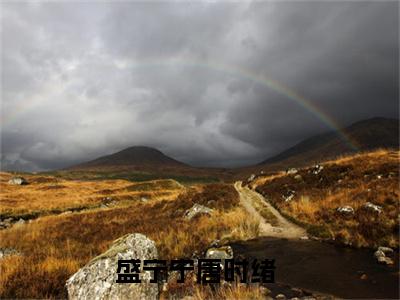 盛宁宁唐时绪全文免费阅读无弹窗大结局_盛宁宁唐时绪无弹窗全文阅读