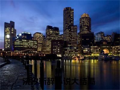 沈汐靳辞全文最新章节（沈汐靳辞）全文免费阅读无弹窗大结局_沈汐靳辞免费阅读（沈汐靳辞全文）