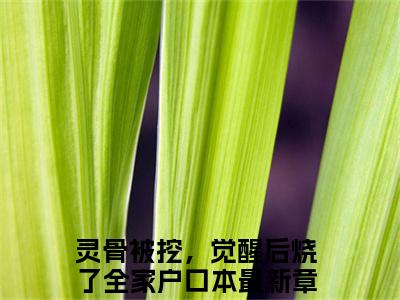 盛灵澜祝九溟全文免费阅读无弹窗大结局_灵骨被挖，觉醒后烧了全家户口本最新章节列表笔趣阁