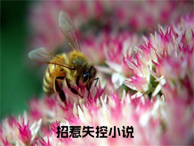 白初江寻全文免费阅读无弹窗大结局-招惹失控无弹窗阅读
