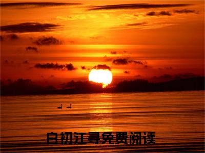 白初江寻精彩小说（招惹失控）在哪免费看-小说(招惹失控)全文完整版免费阅读