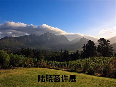 陆晓菡许晟（陆晓菡许晟小说）全文免费阅读无弹窗大结局_（陆晓菡许晟）陆晓菡许晟小说最新章节列表_笔趣阁（陆晓菡许晟小说）