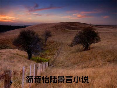 简诗怡陆景言全文免费阅读无弹窗大结局_简诗怡陆景言(简诗怡陆景言)小说结局免费阅读（简诗怡陆景言）