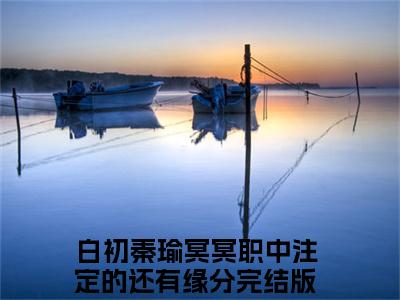 主角冥冥职中注定的还有缘分小说  白初秦瑜小说全文免费阅读