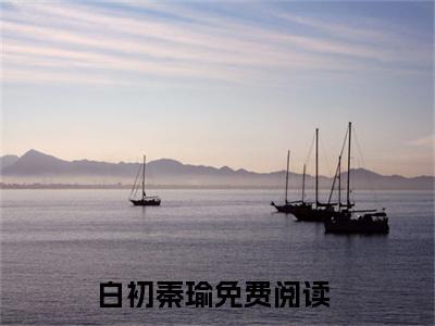 冥冥职中注定的还有缘分（白初秦瑜）全文免费阅读无弹窗大结局_冥冥职中注定的还有缘分完整章节阅读