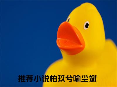 柏玖兮喻尘斌抖音新书热门热荐- 柏玖兮喻尘斌小说在线观看