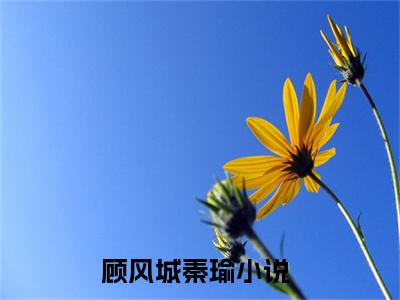 顾风城秦瑜(顾风城秦瑜)小说免费阅读无弹窗大结局_(顾风城秦瑜)顾风城秦瑜最新章节列表笔趣阁（顾风城秦瑜）