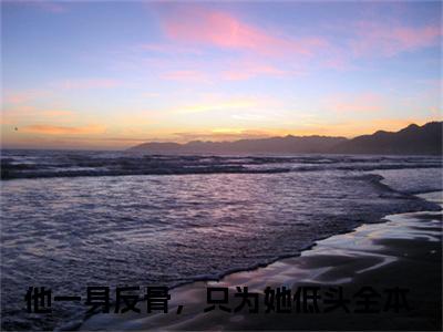 他一身反骨，只为她低头（江迟沈优）小说全文-他一身反骨，只为她低头无弹窗免费阅读