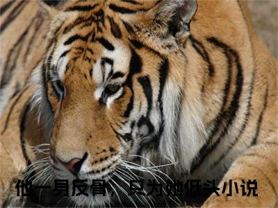 他一身反骨，只为她低头完整版（江迟沈优小说）全文免费阅读无弹窗大结局_江迟沈优最新章节（他一身反骨，只为她低头小说）