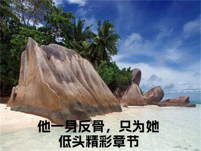 他一身反骨，只为她低头（江迟沈优）全文免费阅读-他一身反骨，只为她低头（江迟沈优）最新章节小说阅读