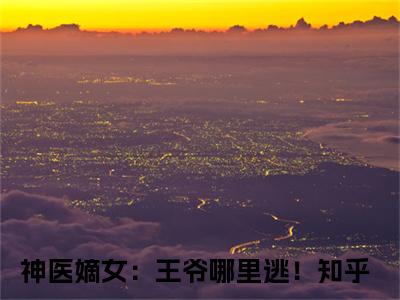 箬雨南宫甫（神医嫡女：王爷哪里逃！）全文免费阅读无弹窗大结局_箬雨南宫甫全文阅读完整版_笔趣阁（神医嫡女：王爷哪里逃！）