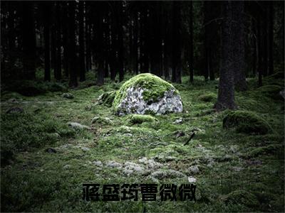 蒋盛筠曹微微(主角是蒋盛筠曹微微全文免费阅读无弹窗)_蒋盛筠曹微微全文免费阅读无弹窗大结局