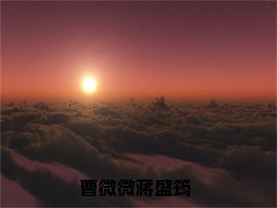 曹微微蒋盛筠全文免费阅读无弹窗大结局_(曹微微蒋盛筠小说)曹微微蒋盛筠无弹窗最新章节列表