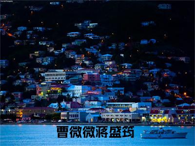 曹微微蒋盛筠（曹微微蒋盛筠）抖音新上免费热文_曹微微蒋盛筠最新章节列表_笔趣阁