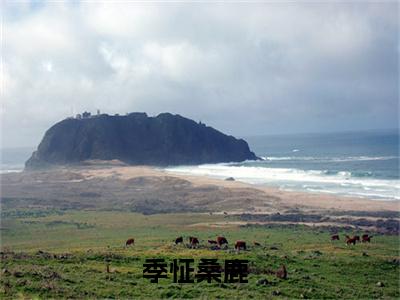 季怔桑鹿书名是《季怔桑鹿》在线赏析_季怔桑鹿txt小说阅读_季怔桑鹿在线阅读笔趣阁
