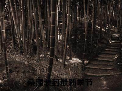 桑漾裴封（桑漾裴封）全文免费阅读无弹窗大结局_桑漾裴封最新章节列表_笔趣阁（桑漾裴封）