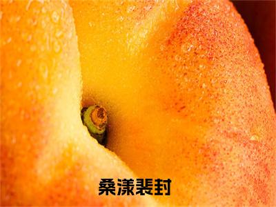 桑漾裴封小说免费阅读-桑漾裴封全文小说全章节阅读