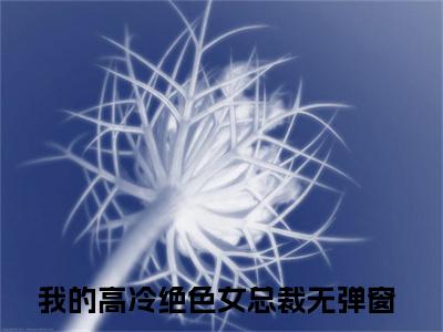 陆川（我的高冷绝色女总裁）全文阅读完整版_陆川（我的高冷绝色女总裁）小说免费阅读大结局无删减（我的高冷绝色女总裁）