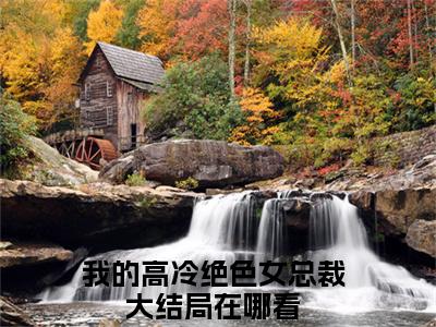 陆川（我的高冷绝色女总裁）免费小说-我的高冷绝色女总裁（陆川）最新章节完整版阅读
