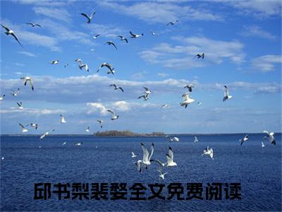 邱书梨裴婺小说免费阅读(邱书梨裴婺)全文免费阅读无弹窗大结局_ 邱书梨裴婺最新章节列表_笔趣阁（邱书梨裴婺小说）
