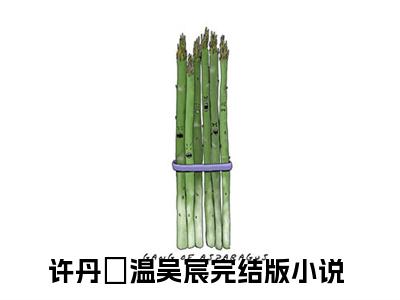 许丹瑄温吴宸无广告小说全文免费阅读无弹窗大结局-许丹瑄温吴宸在线阅读