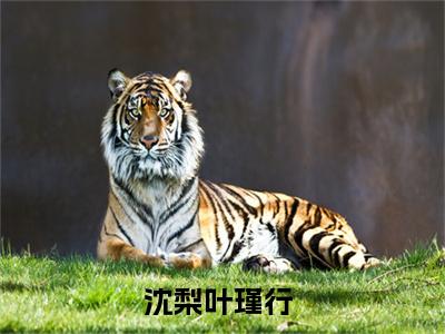 沈梨叶瑾行（沈梨叶瑾行）全文免费阅读-沈梨叶瑾行最新章节小说阅读-笔趣阁
