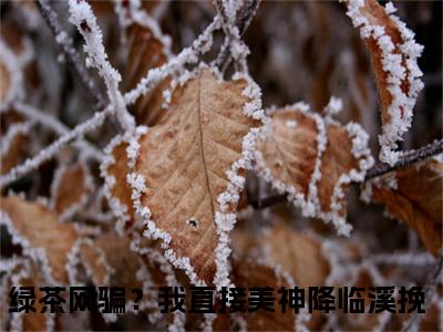 绿茶网骗？我直接美神降临溪挽（绿茶网骗？我直接美神降临溪挽）精彩热门小说-绿茶网骗？我直接美神降临溪挽全章节免费阅读