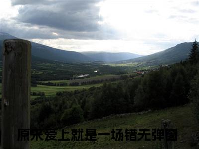 原来爱上就是一场错小说大结局免费阅读-慕向南唐如婉抖音新上热文分享原来爱上就是一场错