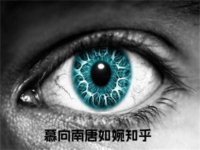 主角是原来爱上就是一场错的小说叫什么名字 慕向南唐如婉小说免费阅读