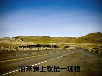慕向南唐如婉免费阅读（原来爱上就是一场错）完整版全文全章节阅读