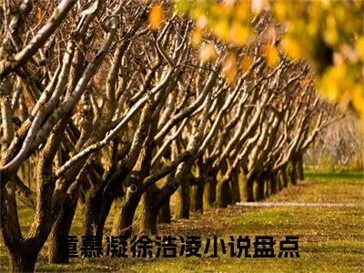 童慕凝徐浩凌全网首发完整小说主角童慕凝徐浩凌在线阅读