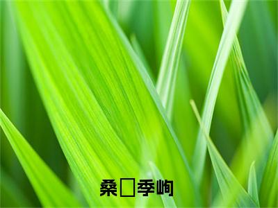 （桑婳季峋）是什么小说-桑婳季峋（桑婳季峋）免费阅读大结局最新章节列表_笔趣阁