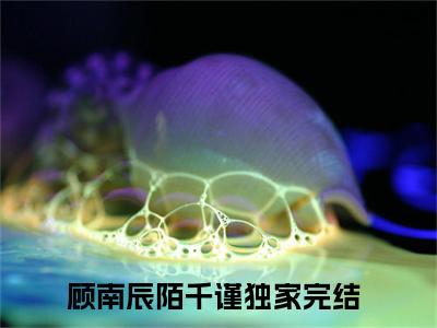 顾南辰陌千谨(顾南辰陌千谨)全文免费阅读大结局_顾南辰陌千谨(顾南辰陌千谨)免费在线阅读无删减_笔趣阁（顾南辰陌千谨）