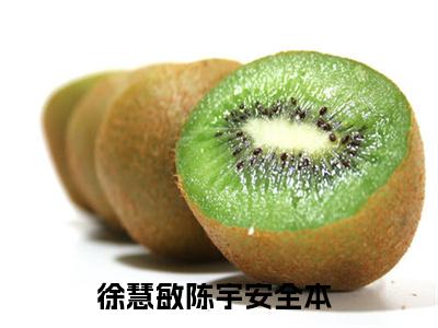 徐慧敏陈宇安全本小说（徐慧敏陈宇安）全文免费阅读无弹窗大结局_徐慧敏陈宇安全本小说最新章节列表_笔趣阁（徐慧敏陈宇安）
