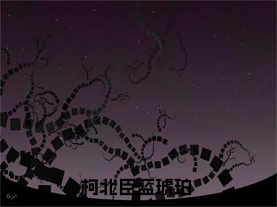 小说当爱只剩下了囚禁，她转身悄然放手全文免费阅读无弹窗大结局-柯北臣蓝琥珀当爱只剩下了囚禁，她转身悄然放手免费阅读大结局