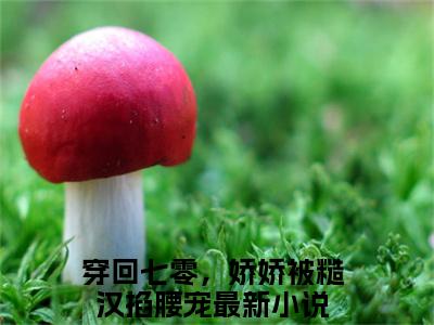 穿回七零，娇娇被糙汉掐腰宠全文免费阅读-全网首发小说杨美娇许桥安