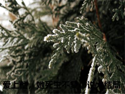慕景舟林晓（爱上他，她死生不复）全文免费阅读无弹窗大结局_慕景舟林晓小说免费最新章节列表_笔趣阁