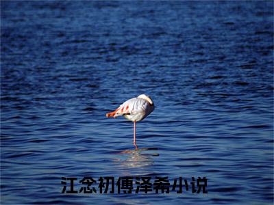江念初傅泽希全文（江念初傅泽希）全文免费阅读无弹窗大结局_（江念初傅泽希）江念初傅泽希最新章节列表笔趣阁（江念初傅泽希）