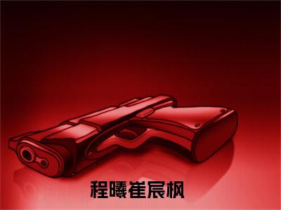 程曦崔宸枫最新完结免费阅读-程曦崔宸枫悬疑小说在线阅读