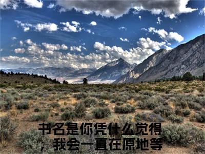 你凭什么觉得，我会一直在原地等你？时若宸近新热推小说-你凭什么觉得，我会一直在原地等你？时若宸完整版在线阅读