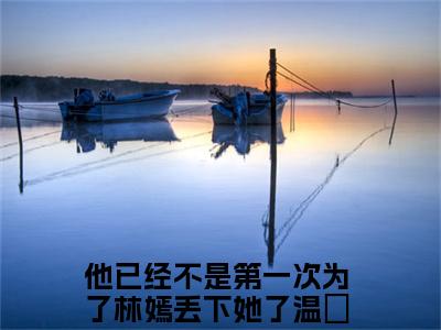 他已经不是第一次为了林嫣丢下她了温湉：他已经不是第一次为了林嫣丢下她了温湉阅读无弹窗大结局_（他已经不是第一次为了林嫣丢下她了温湉阅读无弹窗）最新章节列表_笔趣阁（他已经不是第一次为了林嫣丢下她了温湉）