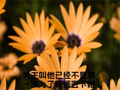 他已经不是第一次为了林嫣丢下她了温湉（他已经不是第一次为了林嫣丢下她了温湉）最新章节在线阅读 抖音新书热荐他已经不是第一次为了林嫣丢下她了温湉