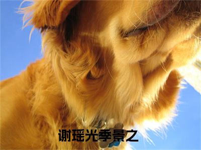谢瑶光季景之（谢瑶光季景之小说）全文免费阅读无弹窗大结局_(谢瑶光季景之小说免费阅读)最新章节列表