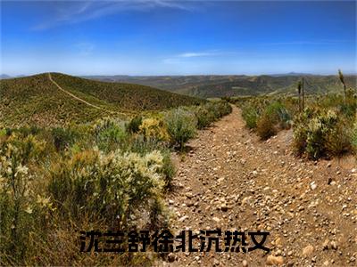 沈兰舒徐北沉（沈兰舒徐北沉）最新章节阅读-（沈兰舒徐北沉）免费阅读大结局无弹窗